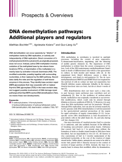DNA demethylation pathways: Additional players and regulators