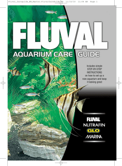 Includes simple STEP-BY-STEP INSTRUCTIONS on how to set up a