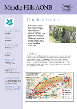 Cheddar Gorge - Mendip Hills AONB