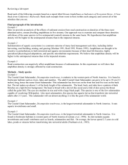 reveiwing a lab report