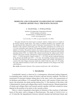 MODELING AND ULTRASONIC EXAMINATION OF