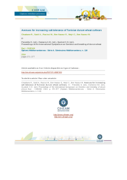 T&eacute;l&eacute;charger - Options M&eacute;diterran&eacute;ennes