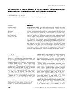 Determinants of sperm transfer in the scorpionfly Panorpa cognata