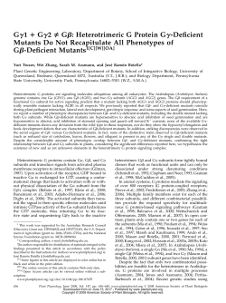 Gg1 1 Gg2 &THORN; Gb: Heterotrimeric G Protein Gg