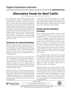 Alternative Feeds for Beef Cattle