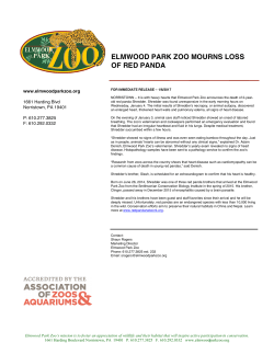 ELMWOOD PARK ZOO MOURNS LOSS OF RED PANDA