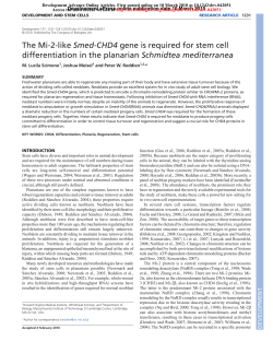 The Mi-2-like Smed-CHD4 gene is required for stem cell