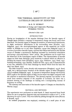 the thermal sensitivity of the lateralis organs of xenopus