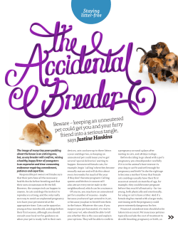 Beware &ndash; keeping an unneutered pet could get you and