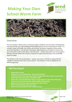 Making Your Own School Worm Farm