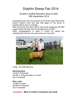Dolphin Sheep Fair 2014