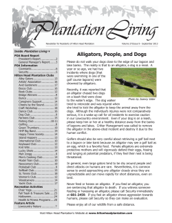 Alligators, People, and Dogs
