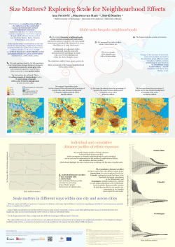 Size Matters? Exploring Scale for Neighbourhood Effects