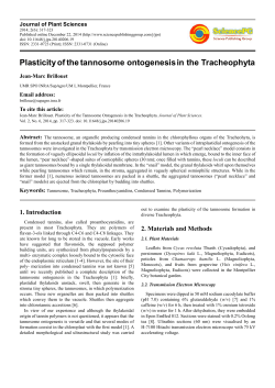 Plasticityofthetannosome ontogenesisin the Tracheophyta