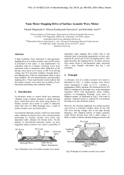 Nano Meter Stepping Drive of Surface Acoustic Wave Motor