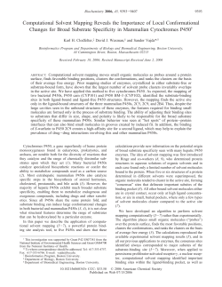Computational Solvent Mapping Reveals the Importance of Local