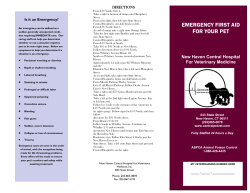emergency first aid for your pet - Central Hospital For Veterinary