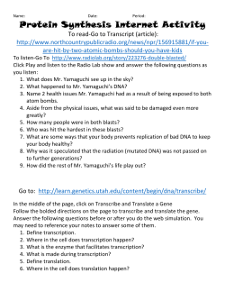 Protein Synthesis Internet Activity