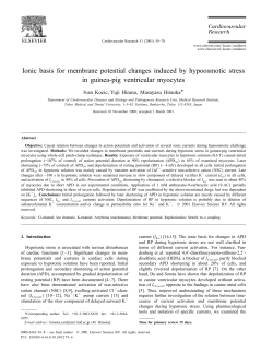 Ionic basis for membrane potential changes