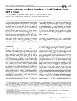 Phosphorylation and membrane dissociation of the ARF exchange