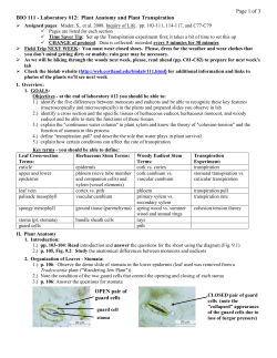 Page 1 of 3 BIO 111 - Laboratory #12: Plant Anatomy and Plant