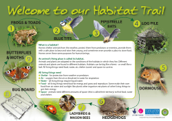 Explore our habitat trail