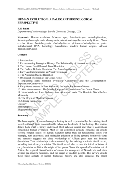 Human Evolution: A Paleoanthropological Perspective