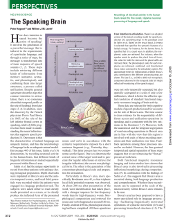 The Speaking Brain