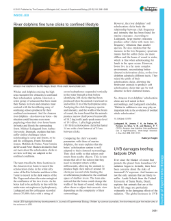 River dolphins fine tune clicks to confined lifestyle UVB damages