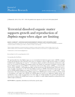 Terrestrial dissolved organic matter supports growth and