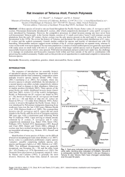 rat invasion of tetiaroa Atoll, French Polynesia