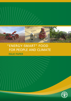 Energy-Smart Food for People and Climate