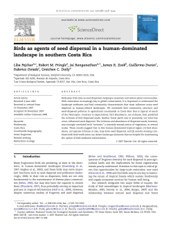 Birds as agents of seed dispersal in a human-dominated