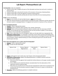 Lab Report: Photosynthesis Lab