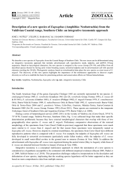 Description of a new species of Eupsophus