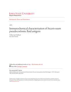 Immunochemical characterization of Ascaris suum pseudocoelomic