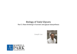 Biology of Sialyl Glycans