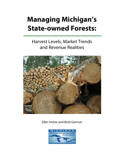 Managing Michigan`s State