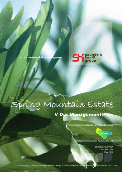 Spring Mountain Voluntary Declaration