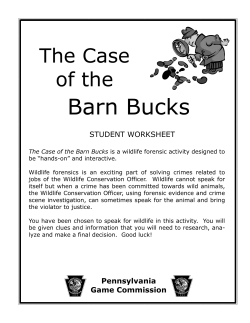 Student Worksheet.pub