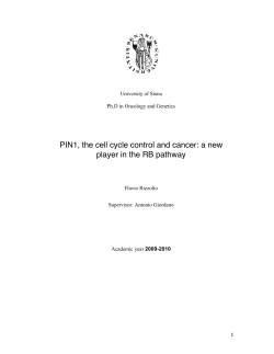 PIN1, the cell cycle control and cancer: a new player in the
