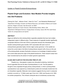 Plastid Origin and Evolution: New Models Provide
