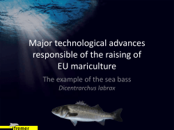 Major technological advances responsible of the raising of EU