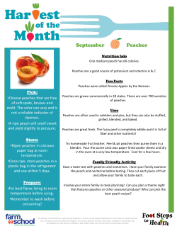 September Peaches - Get Active La Crosse