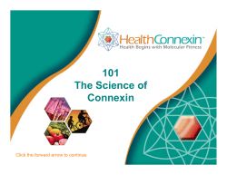 The Connexin Pore
