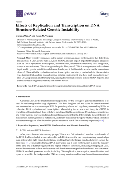 Effects of Replication and Transcription on DNA Structure