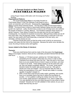 A Concept Analysis on Mark Twain`s Pudd`nhead Wilson