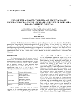 foraminiferal biostratigraphy and reconnaissance microfacies of