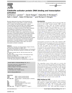 Catabolite activator protein: DNA binding and transcription activation