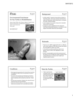 Slides from above presentation - Australian Wildlife Rehabilitation